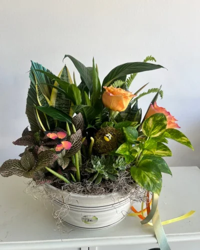 Botanical Garden - in Destin, FL thumbnail 5